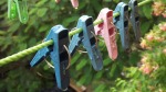 colourful clips inline